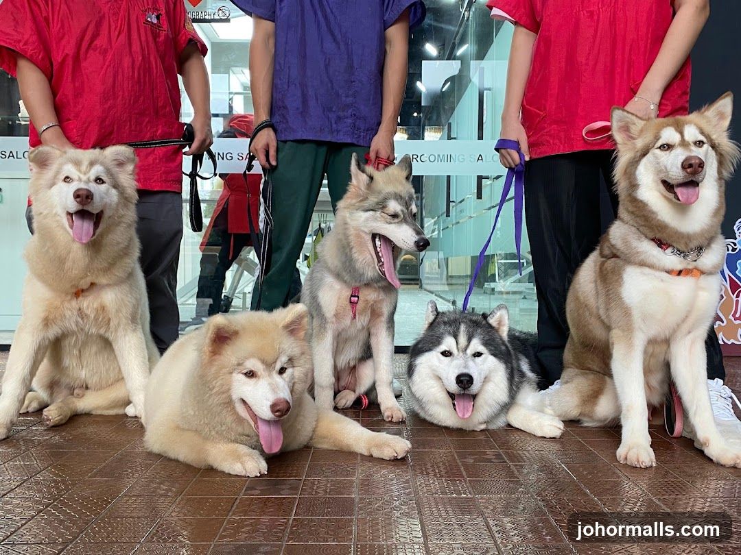 Fur & Away Pet Grooming Salon