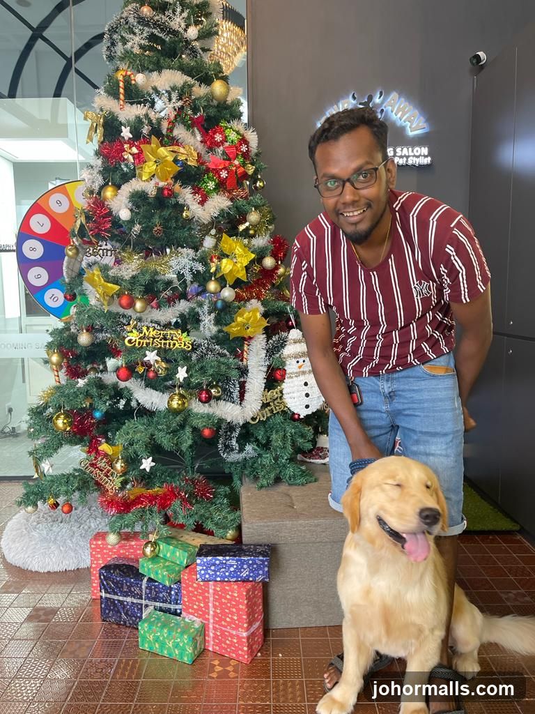Man and dog with Christmas tree