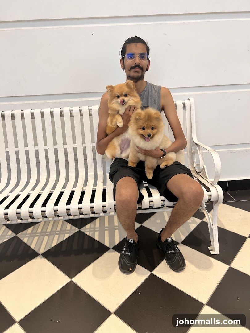 Man with two Pomeranian dogs on a bench