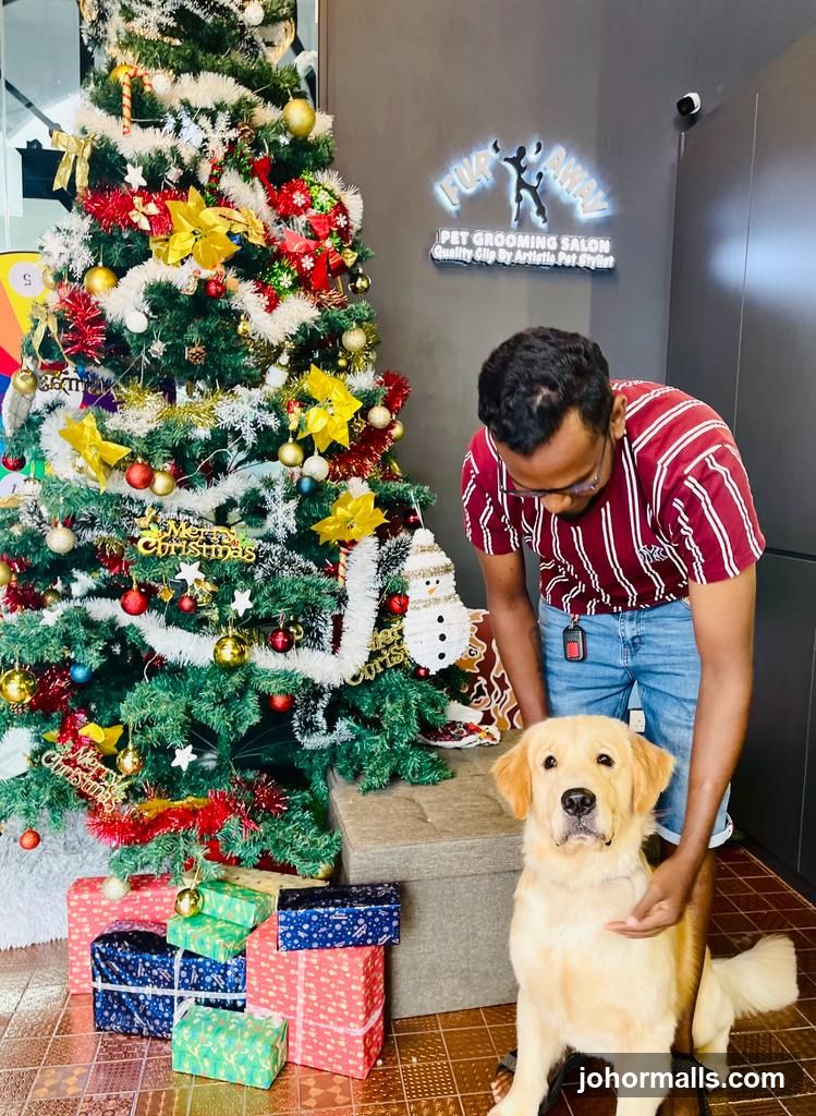 Man and dog with Christmas tree