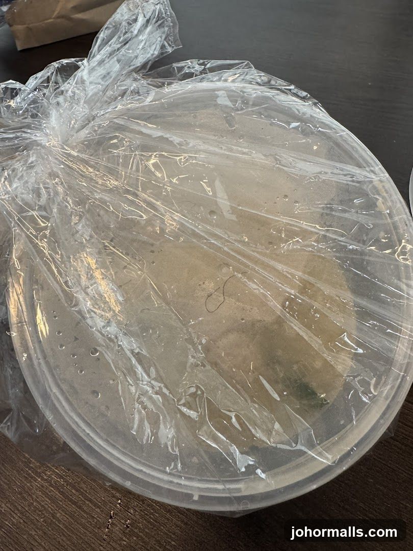 Food in a container