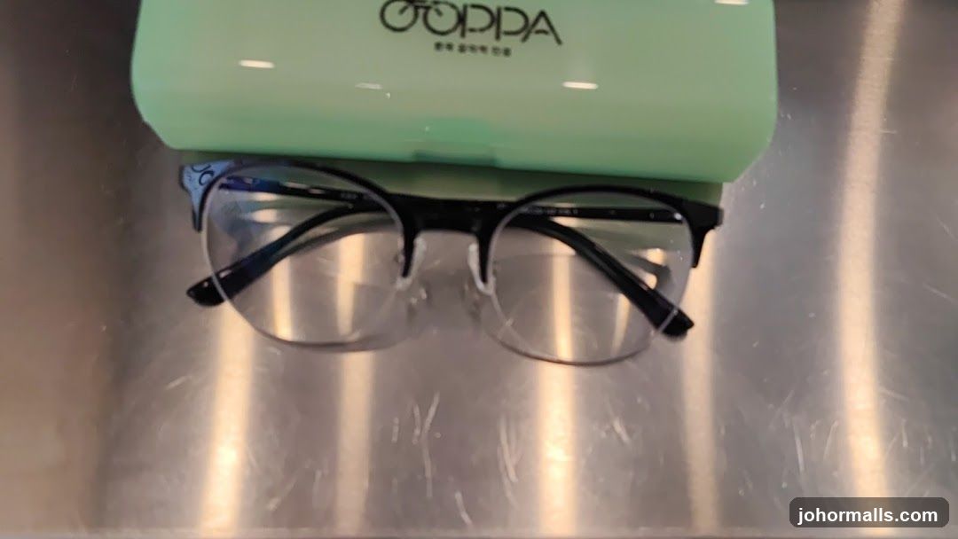 Eyeglasses and Case