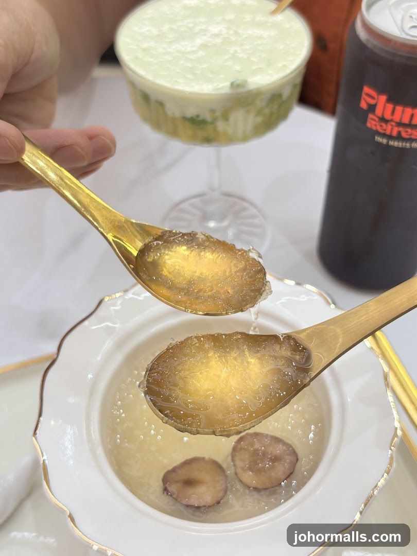 Bird's Nest Soup and Drink