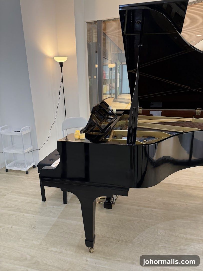 Grand Piano in a Room