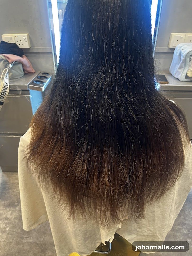 Hairdresser's Chair