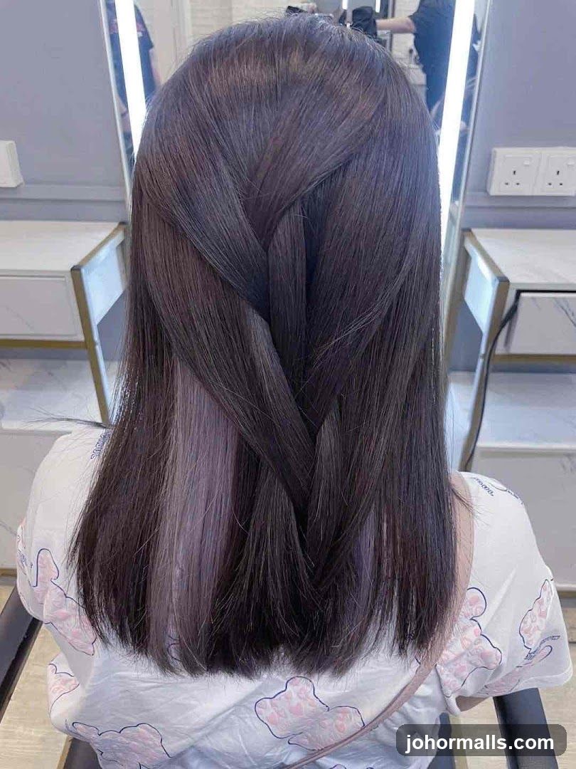 Braided Hair with Highlights