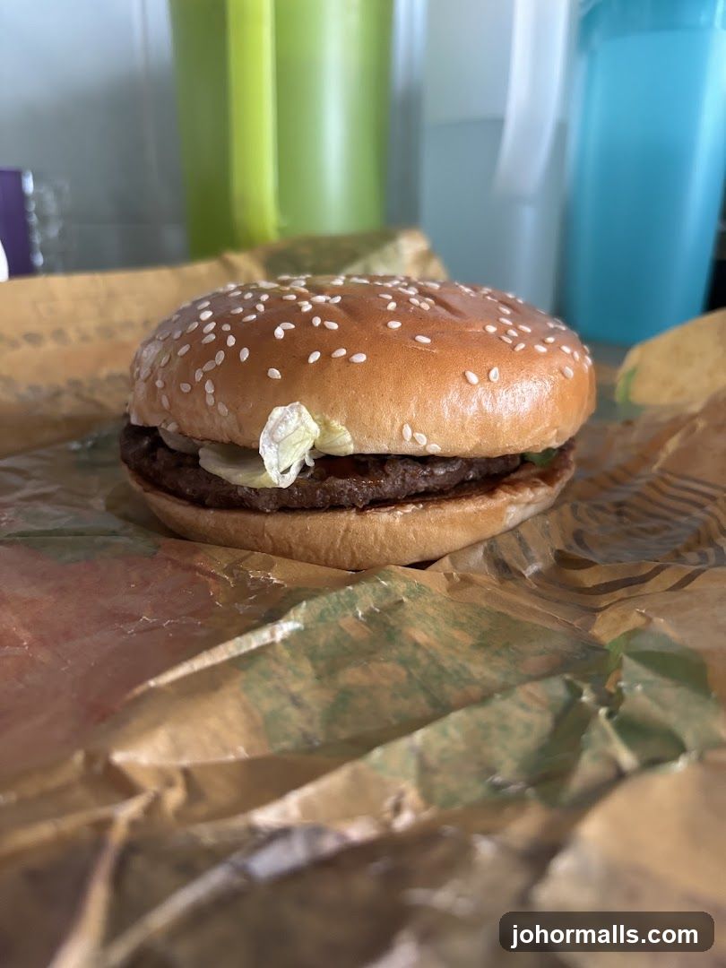 Burger on wrapper