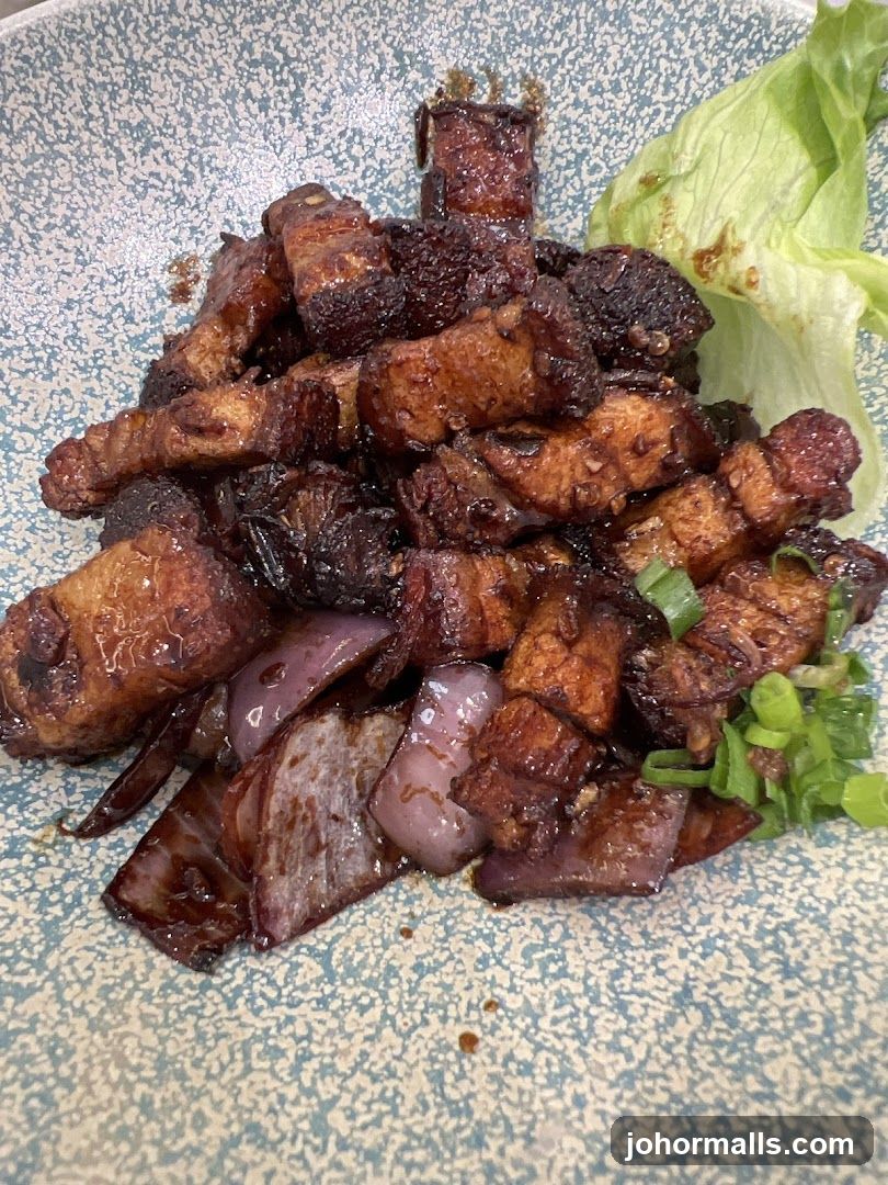 Braised Pork Belly with Onions