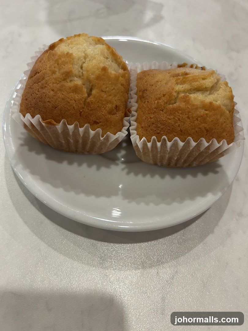 Two Muffins on a Plate