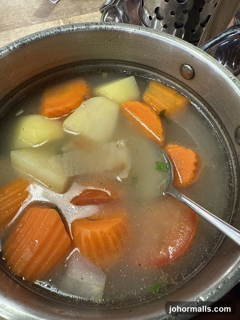 Vegetable Soup