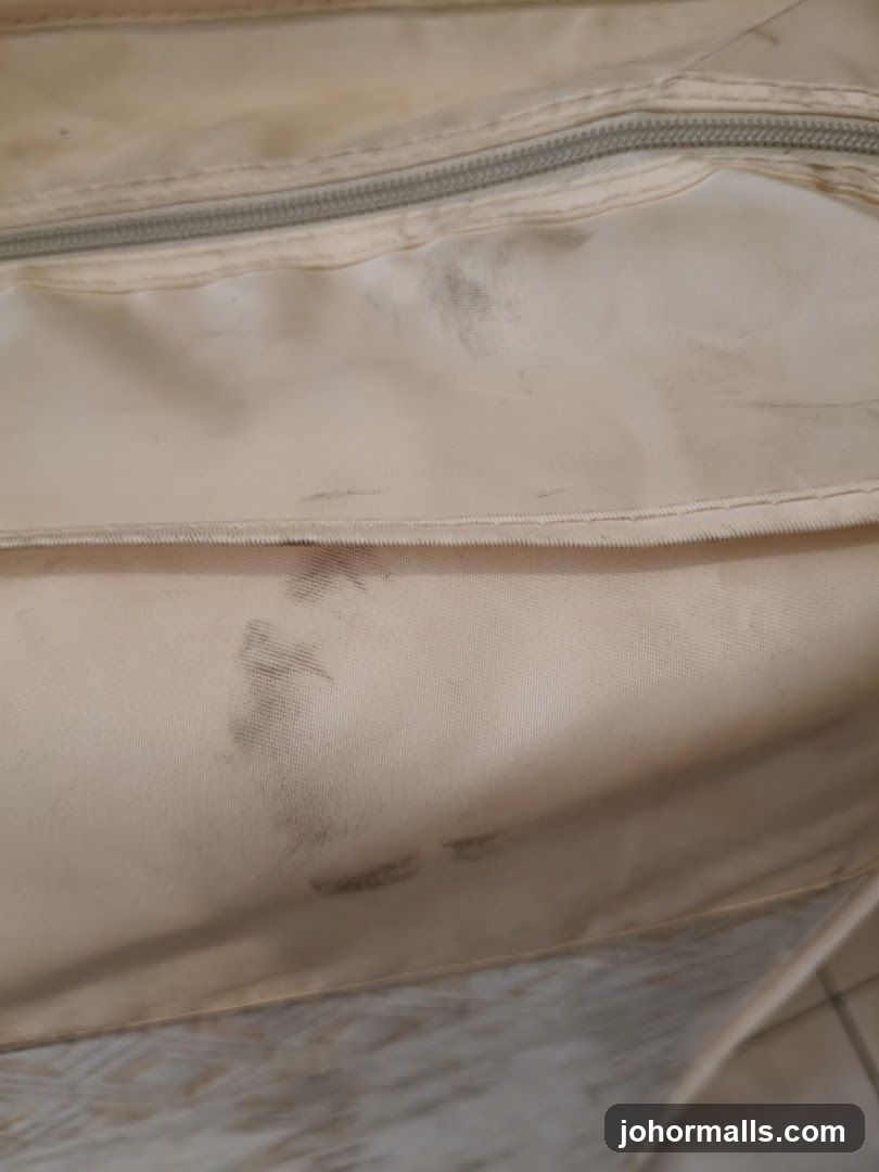 Dirty Bag Interior