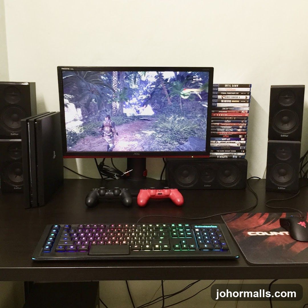 Gaming Setup