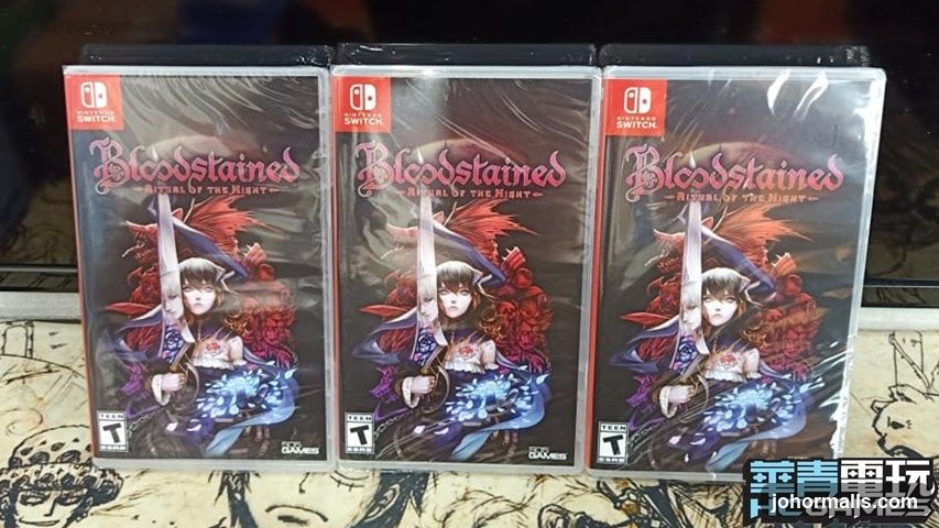 Bloodstained: Ritual of the Night Nintendo Switch Game Cases