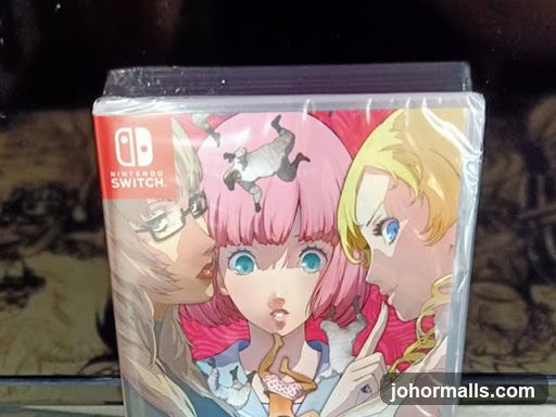 Nintendo Switch Game Case