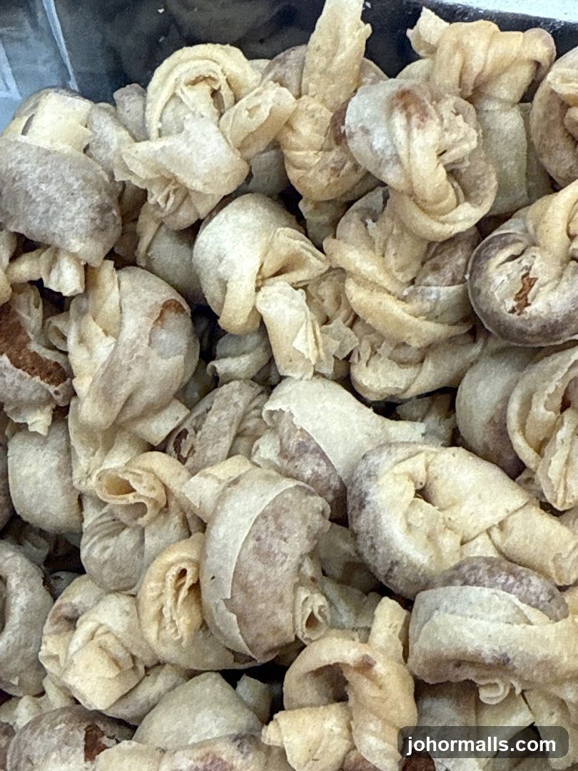 Fried Dumplings