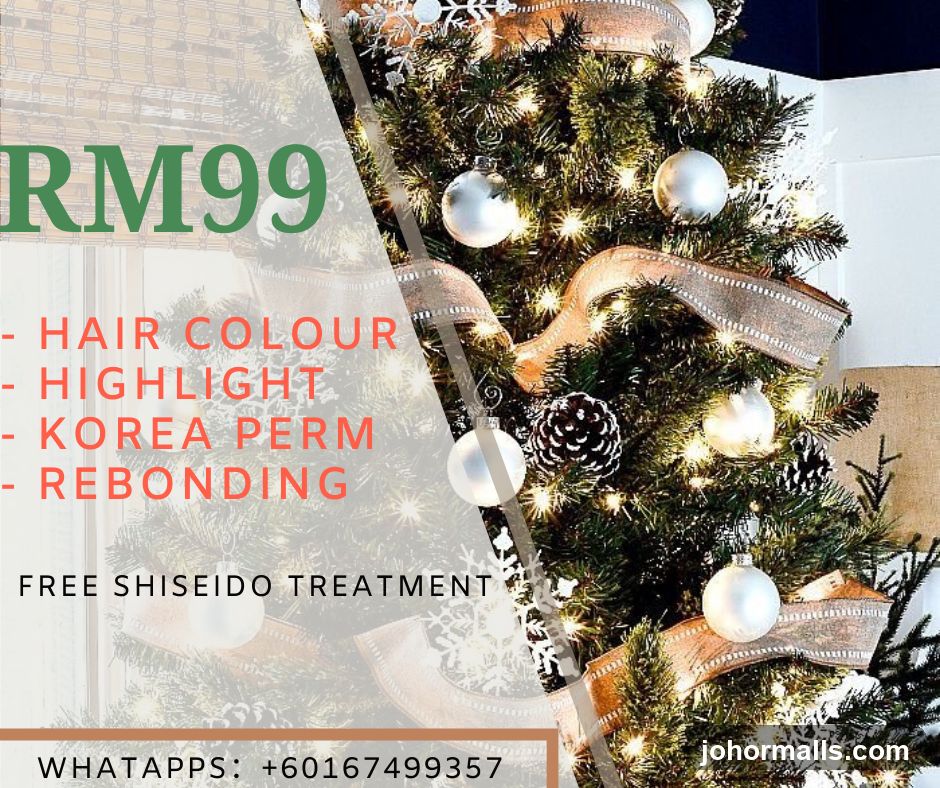 Christmas Promotion