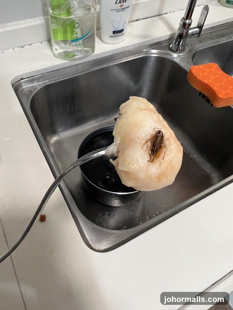 Food with insect in sink