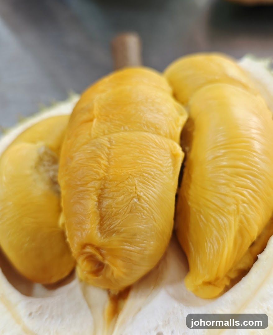 JS Deluxe Durian
