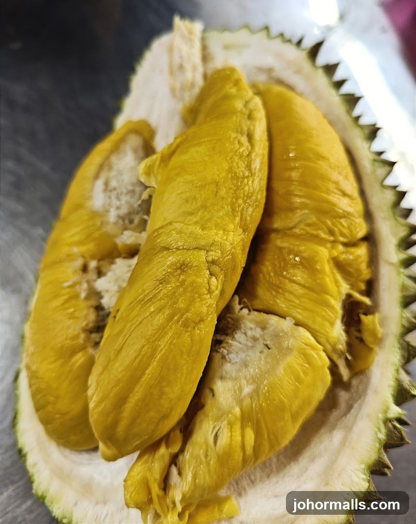 JS Deluxe Durian