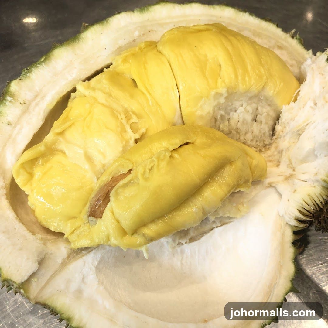 Fresh Durian Fruit