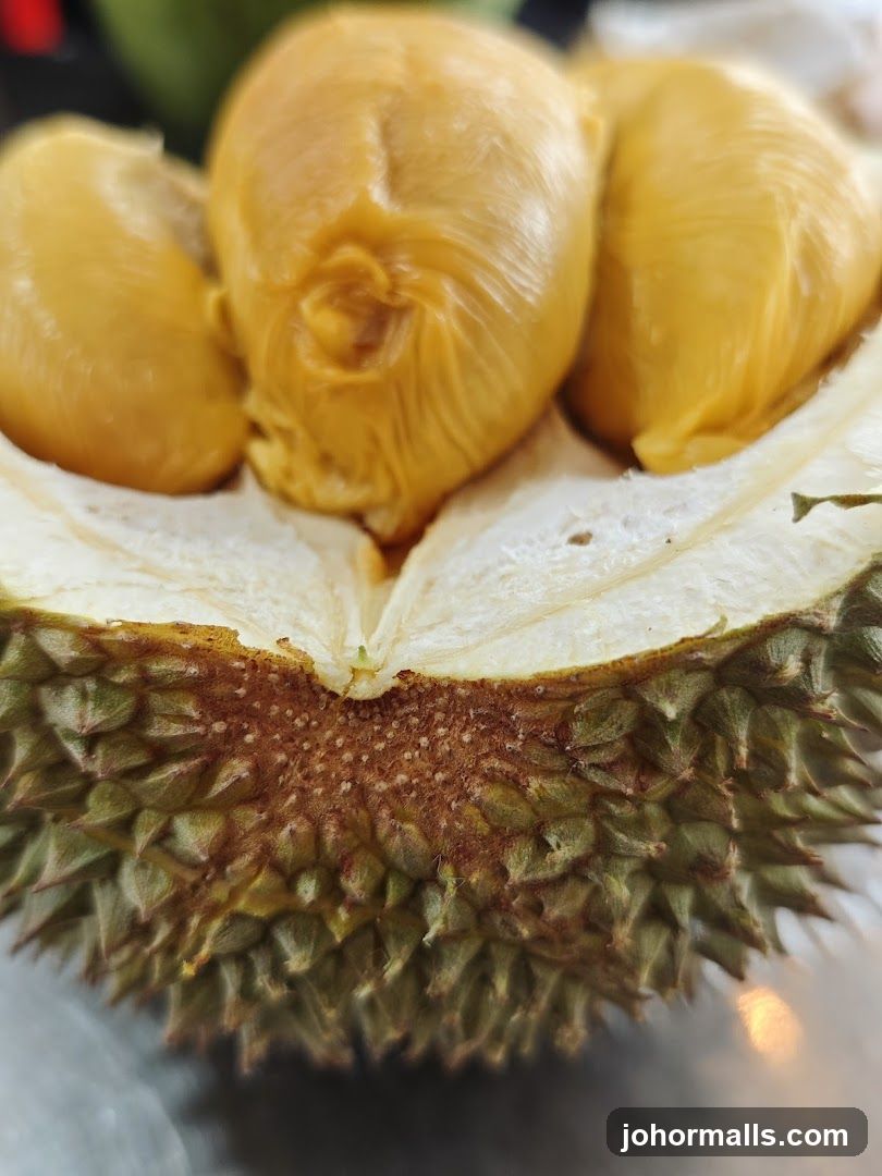 Durian Fruit