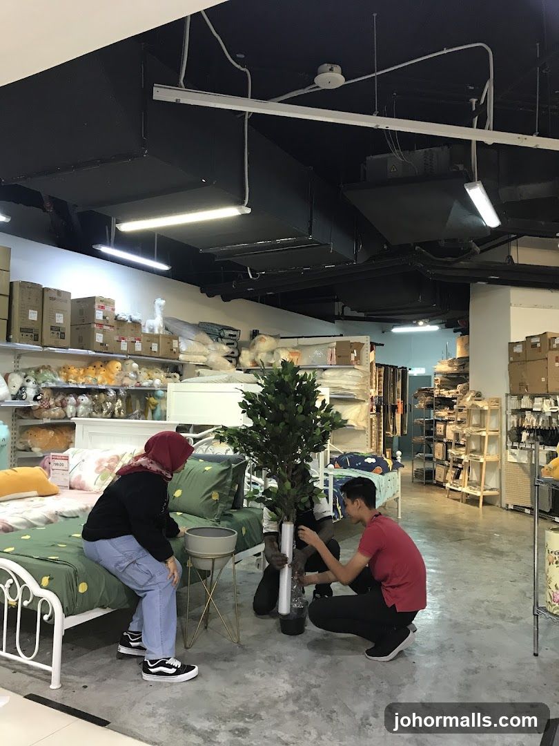 People arranging a plant in a store