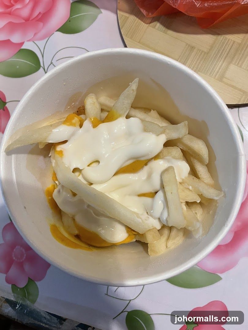 Fries with cheese and sauce