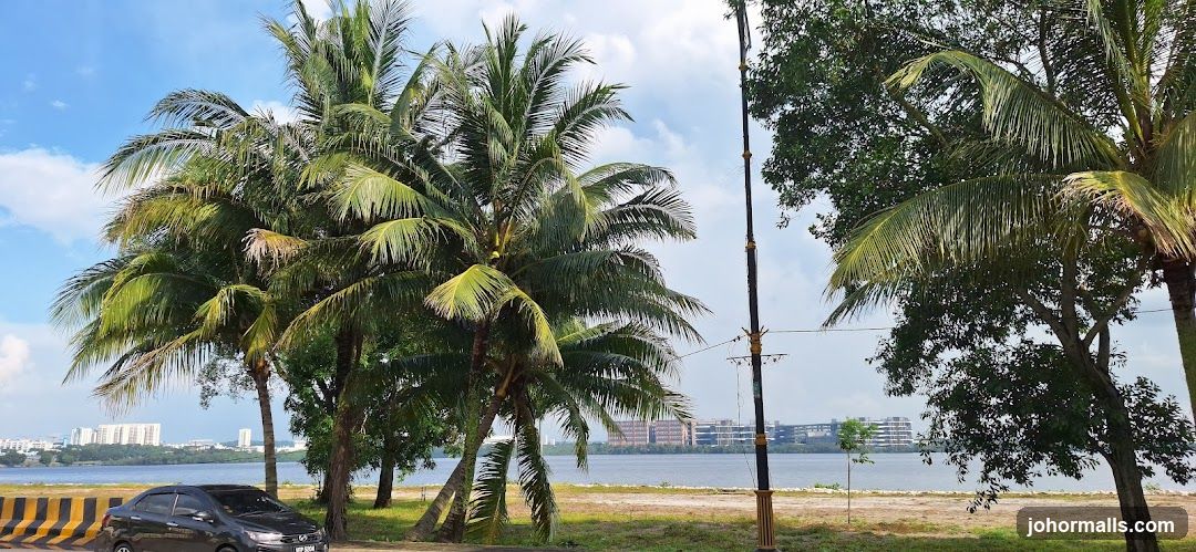 Palm Trees by the Water