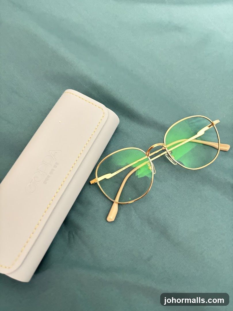 Eyeglasses and Case