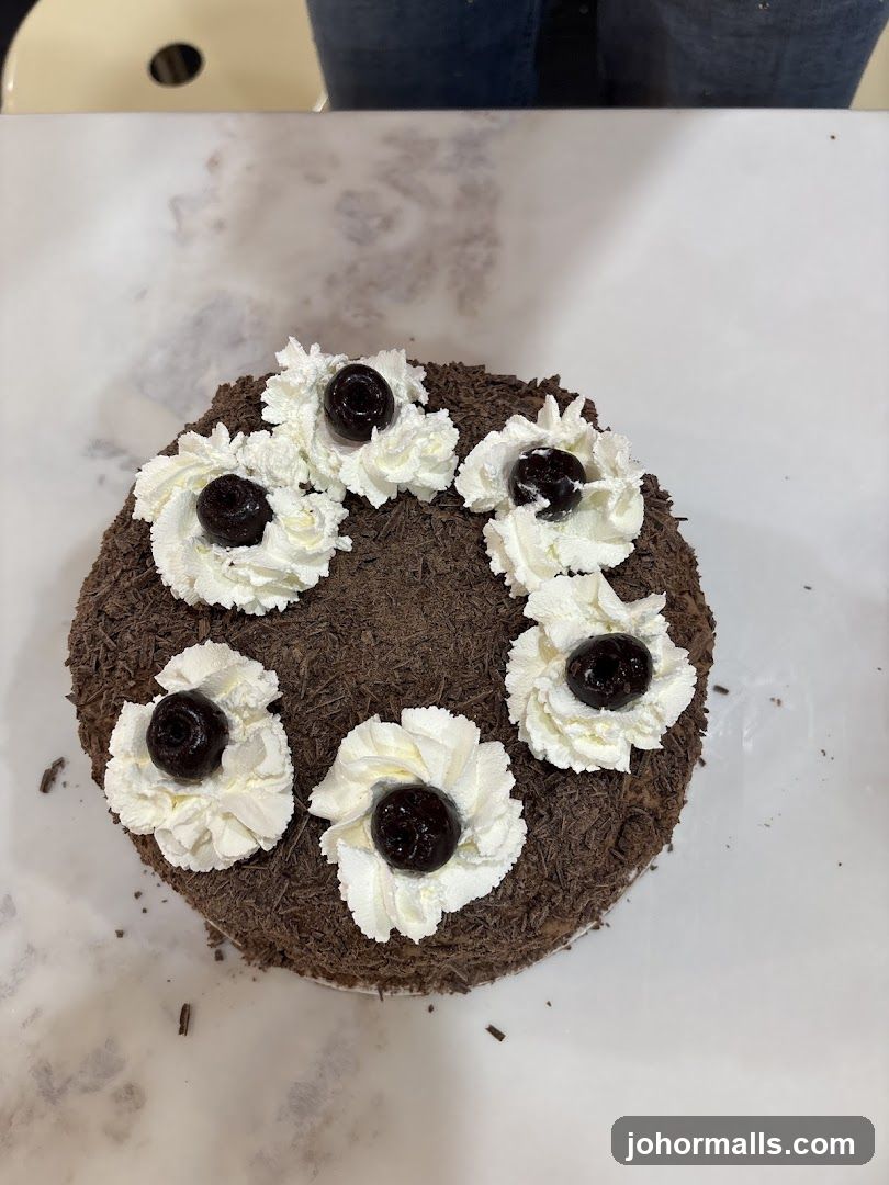 Chocolate Cake with Whipped Cream and Cherries