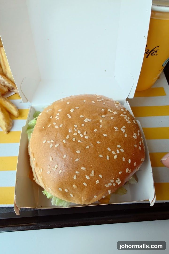 Burger and Fries