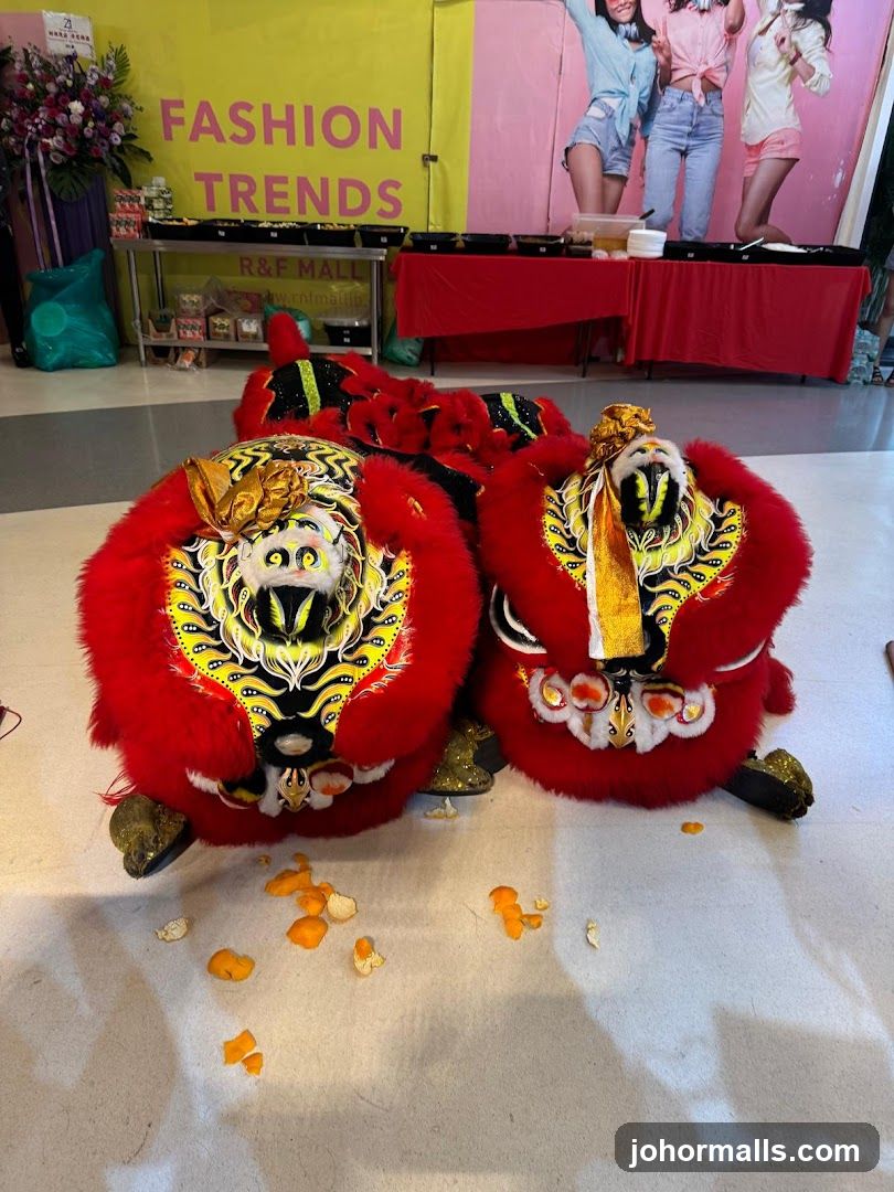 Lion Dance Costumes