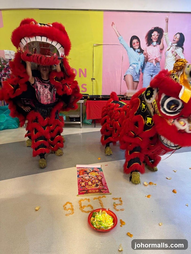 Lion Dance Performance