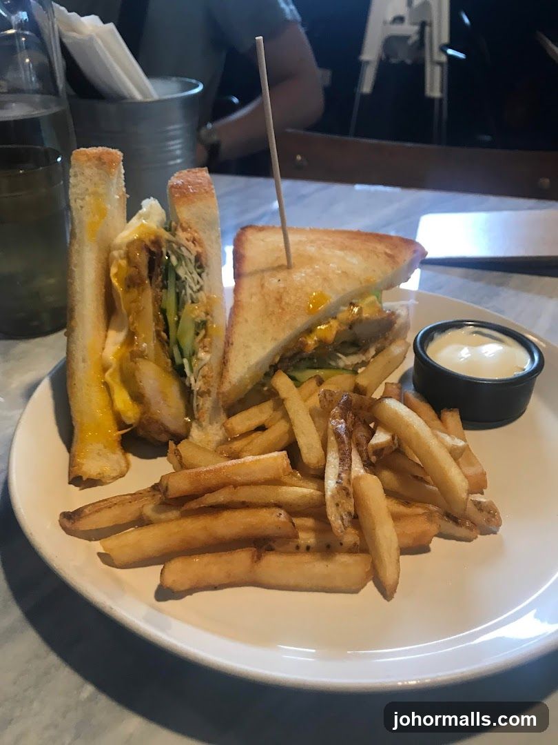Sandwich and Fries