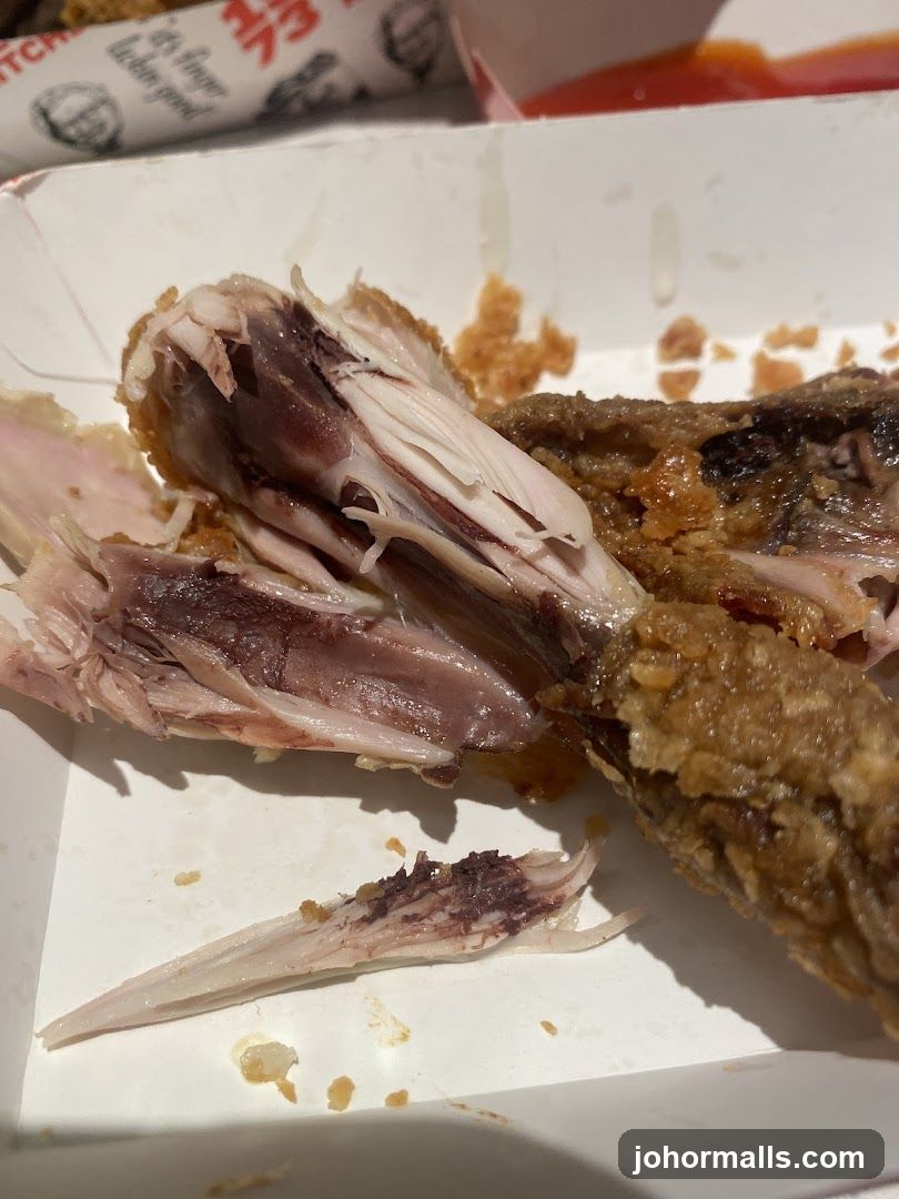 Fried Chicken Remains