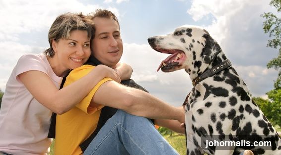 Couple and Dalmatian Dog Outdoors