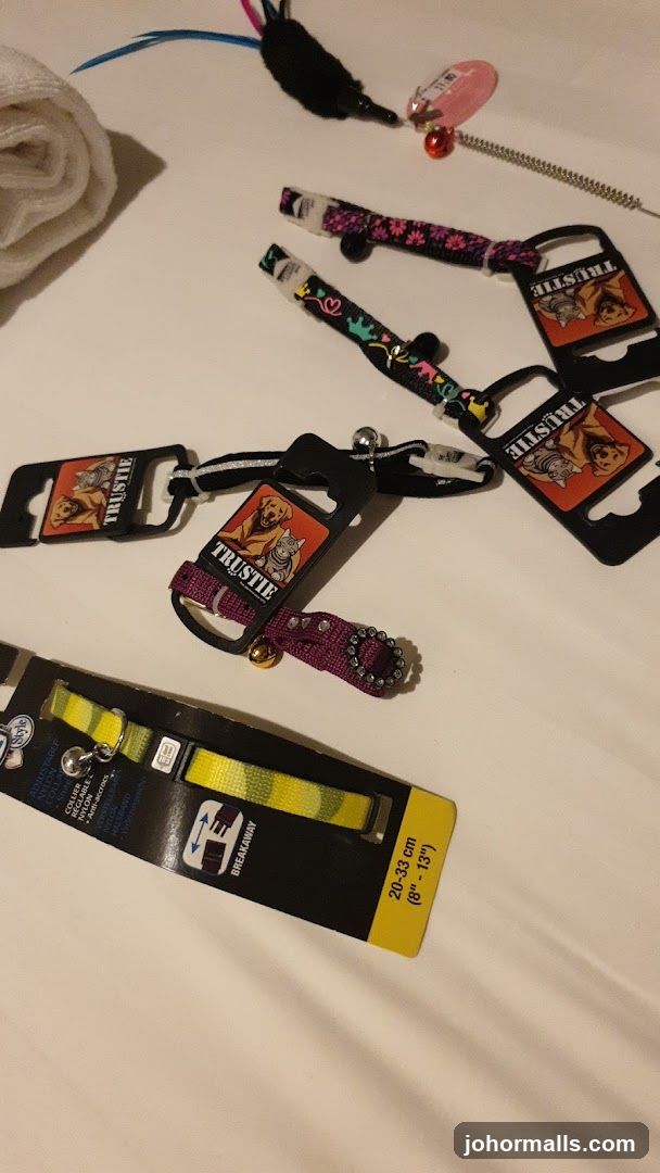 Pet Collars and Toys