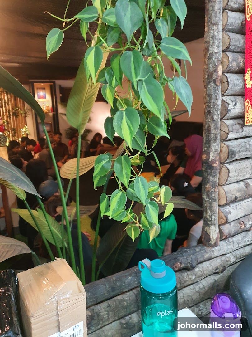 Indoor seating area with plants