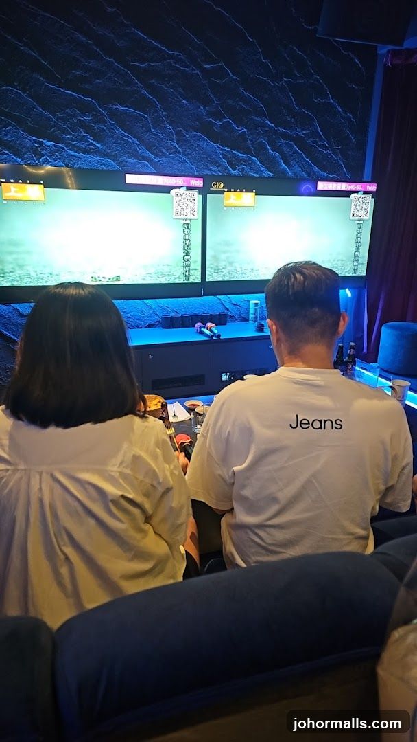People in a karaoke room