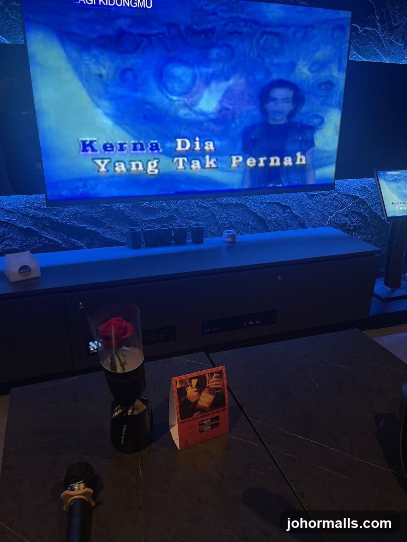 Karaoke Room Entertainment