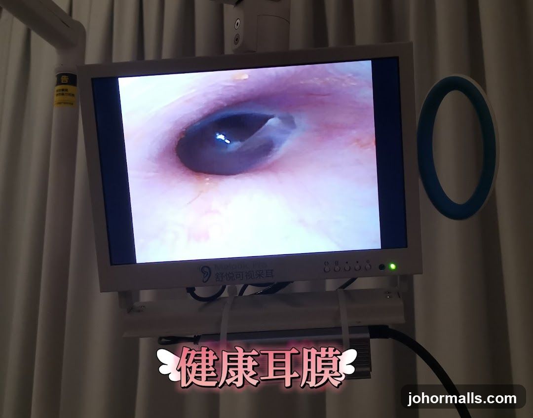 Medical Monitor Displaying Ear Canal