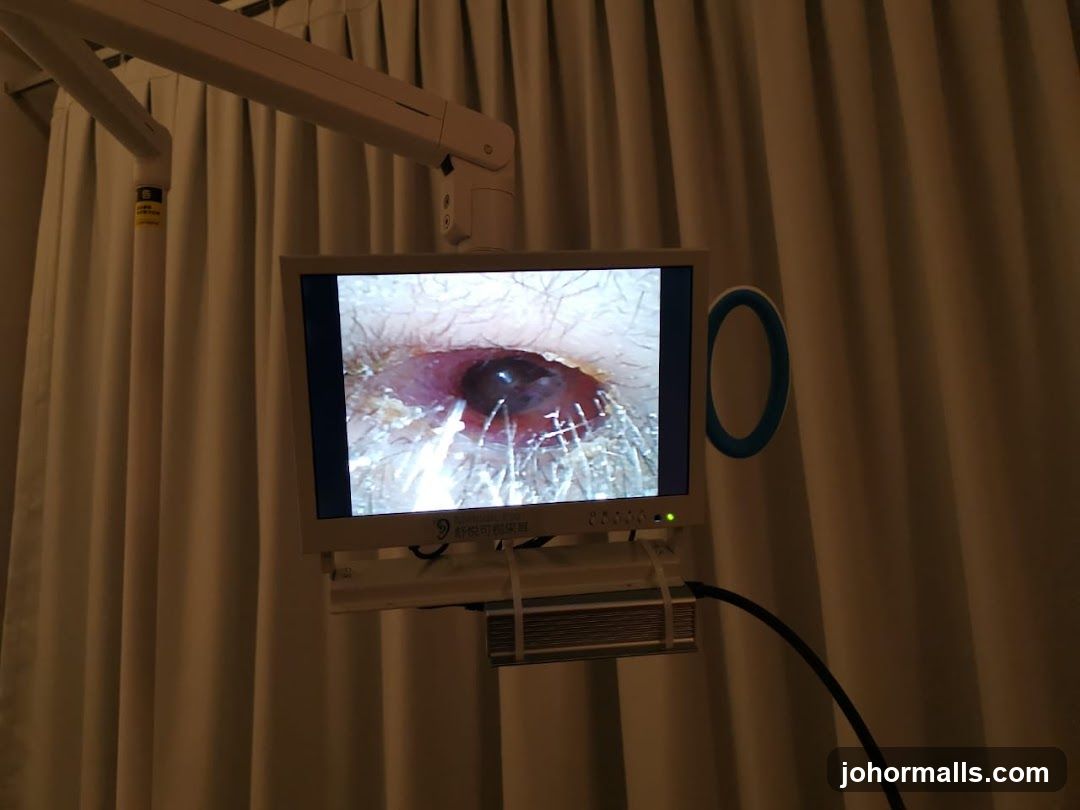 Medical Monitor Displaying Ear Canal