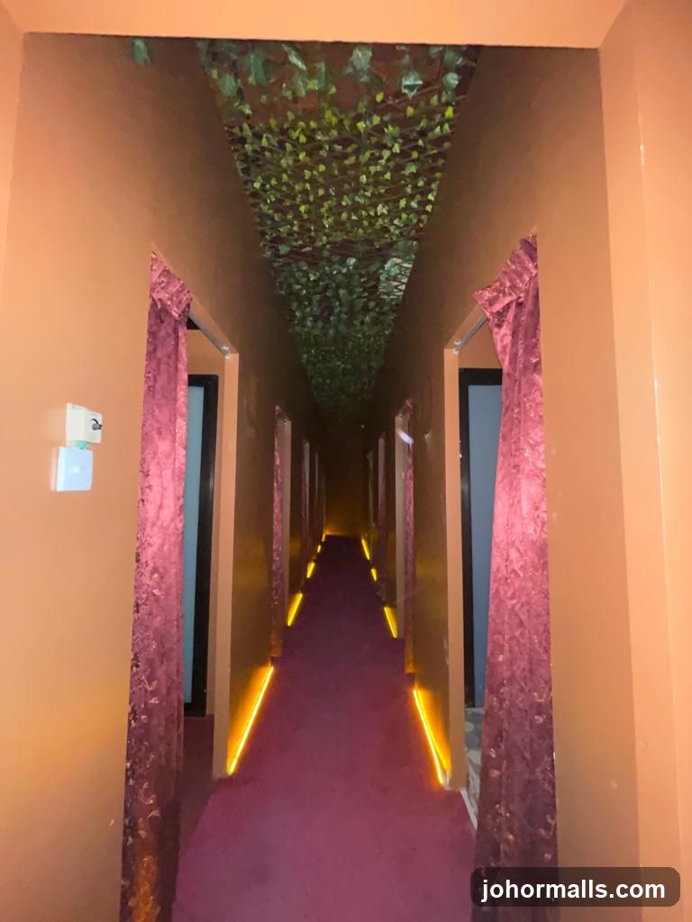 Hallway with decorative ceiling and lighting