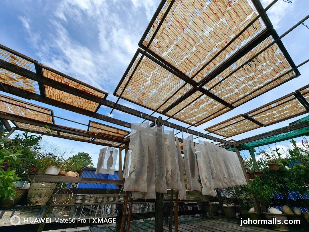 Fish Drying Racks