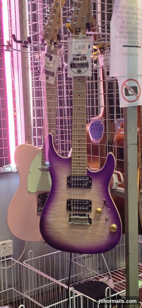 Guitars on Display