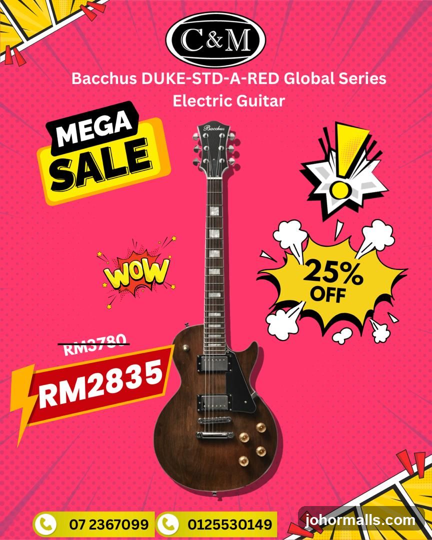 Bacchus Electric Guitar Sale
