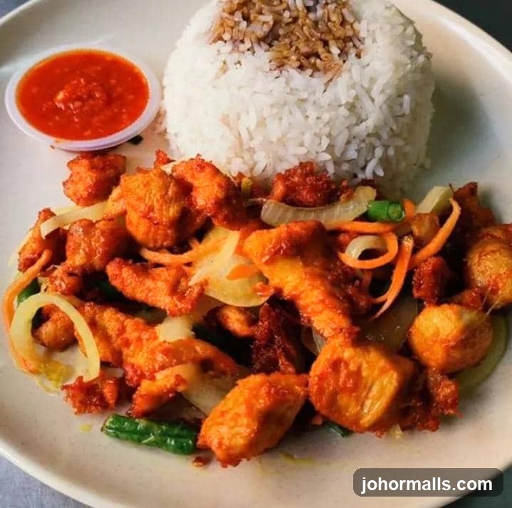 Fried Chicken with Rice