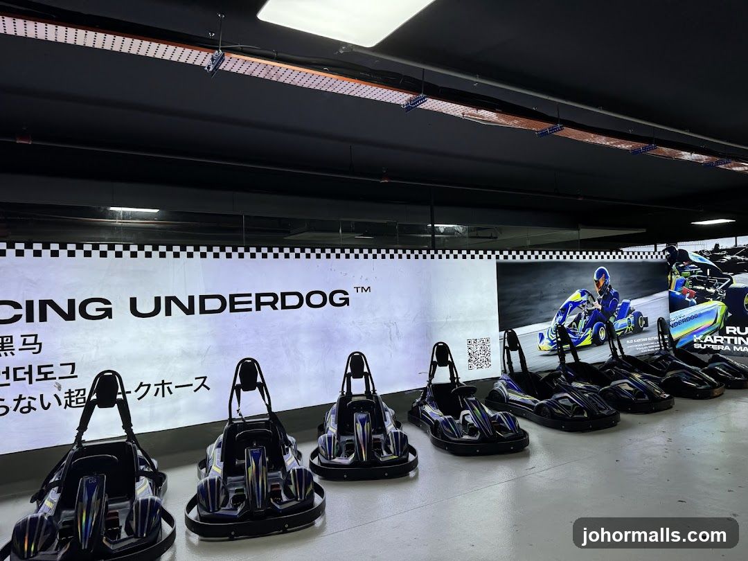 Go-Karts Lined Up