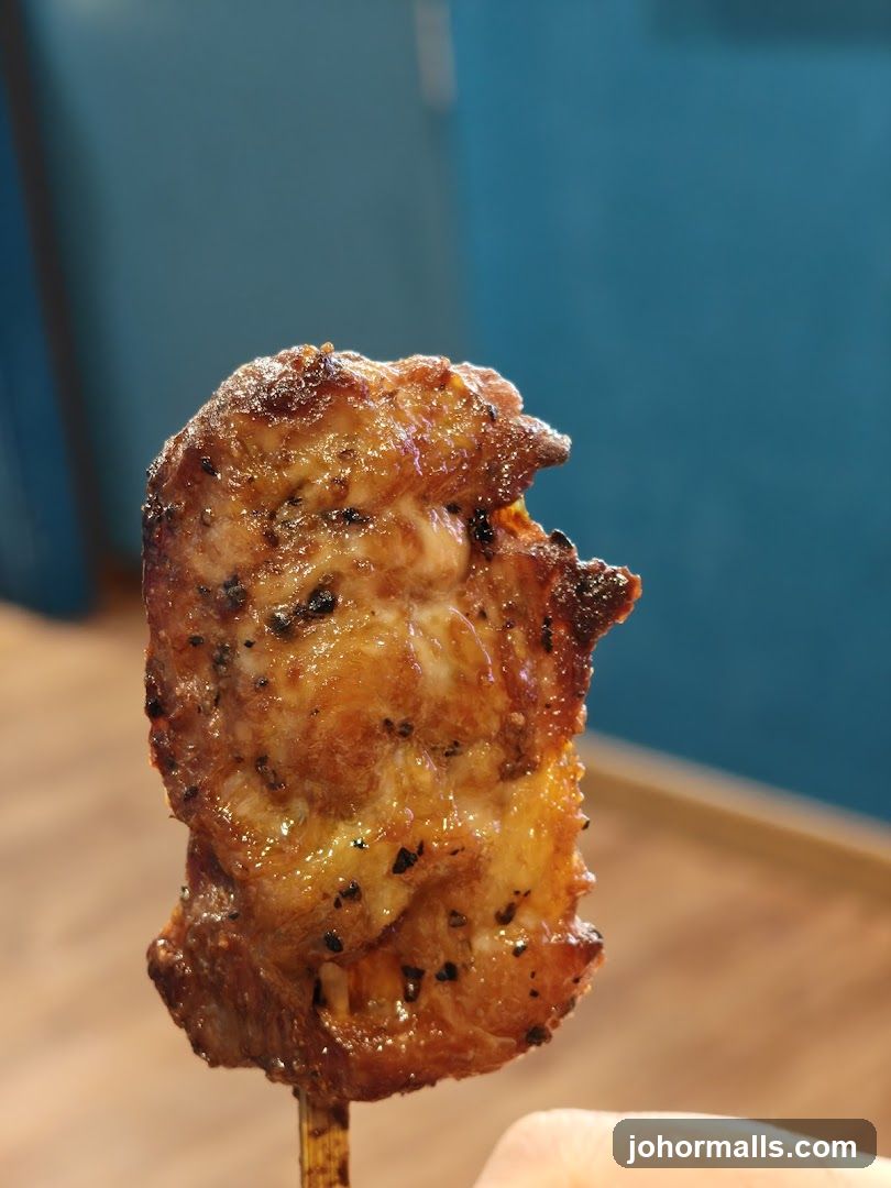 Grilled Meat Skewer
