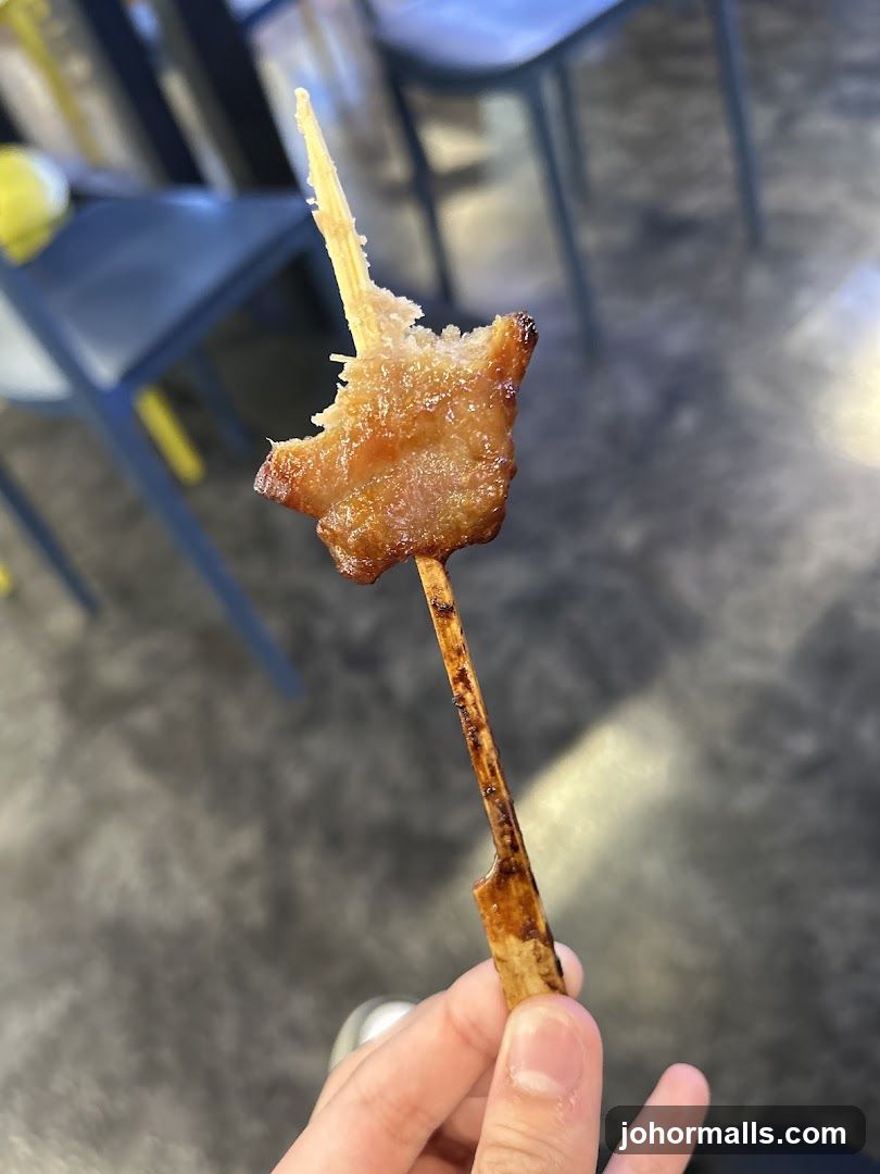 Bitten Skewer of Meat